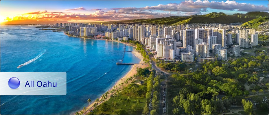 Search All Oahu